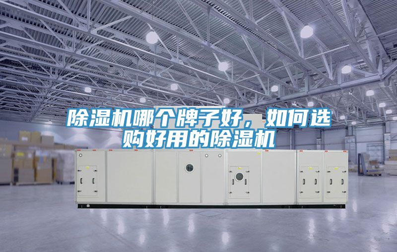 除濕機(jī)哪個(gè)牌子好，如何選購好用的除濕機(jī)