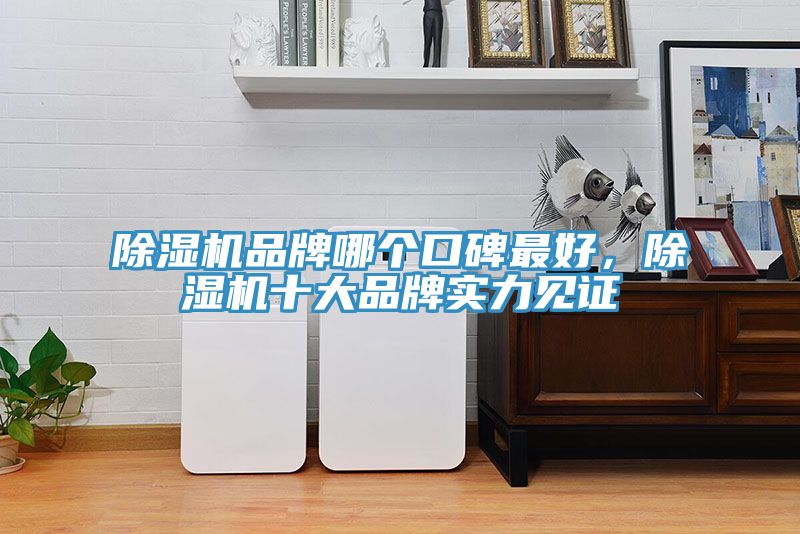除濕機(jī)品牌哪個(gè)口碑最好，除濕機(jī)十大品牌實(shí)力見(jiàn)證