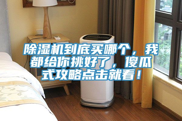 除濕機(jī)到底買哪個，我都給你挑好了，傻瓜式攻略點(diǎn)擊就看！