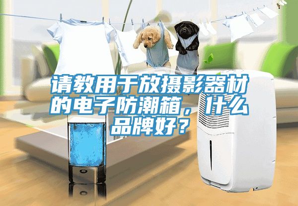 請(qǐng)教用于放攝影器材的電子防潮箱，什么品牌好？