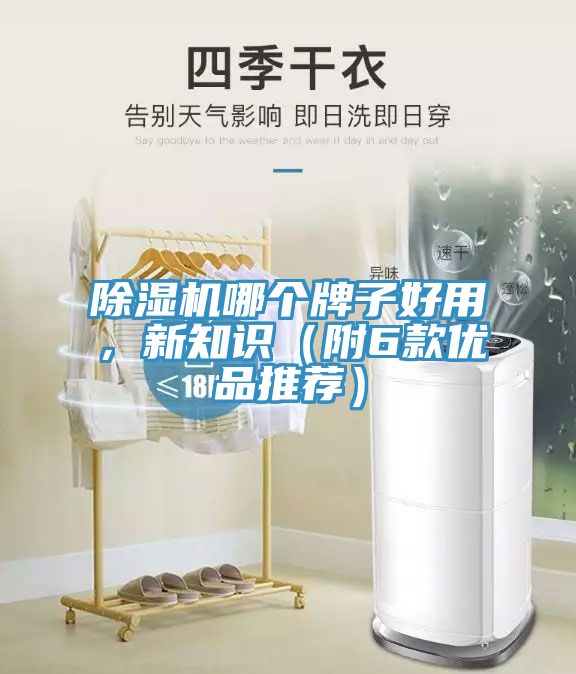 除濕機(jī)哪個(gè)牌子好用，新知識（附6款優(yōu)品推薦）