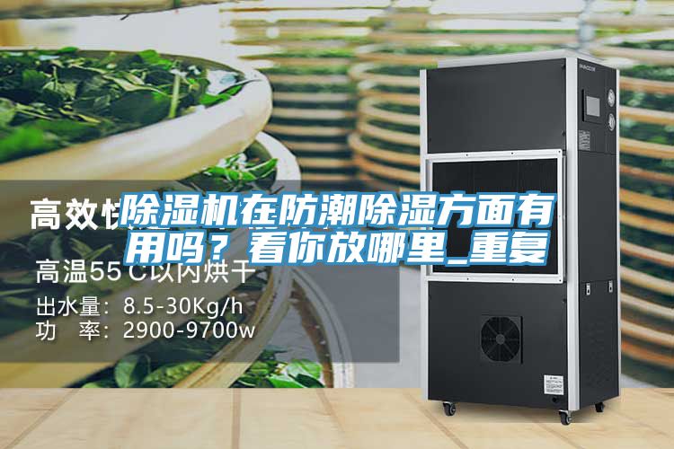除濕機(jī)在防潮除濕方面有用嗎？看你放哪里_重復(fù)