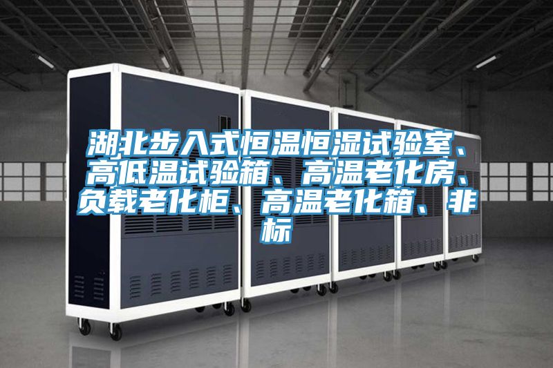 湖北步入式恒溫恒濕試驗(yàn)室、高低溫試驗(yàn)箱、高溫老化房、負(fù)載老化柜、高溫老化箱、非標(biāo)