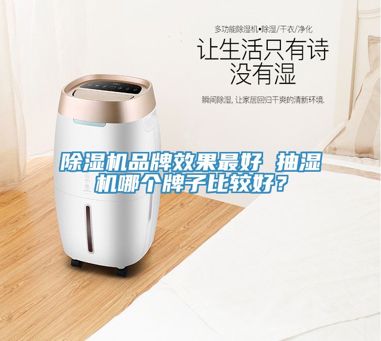 除濕機品牌效果最好 抽濕機哪個牌子比較好？