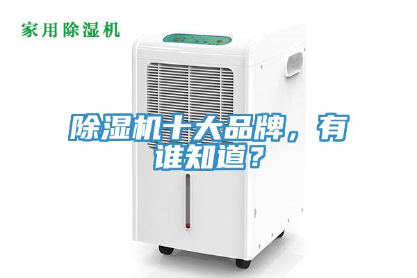 除濕機十大品牌，有誰知道？