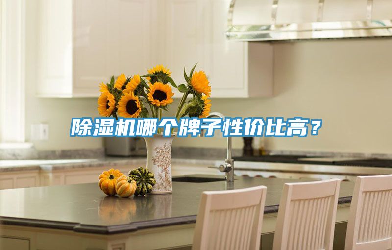 除濕機哪個牌子性價比高？