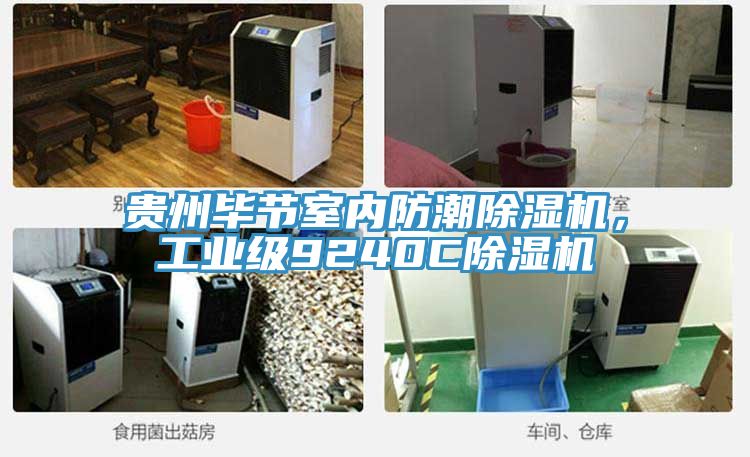 貴州畢節(jié)室內(nèi)防潮除濕機，工業(yè)級9240C除濕機