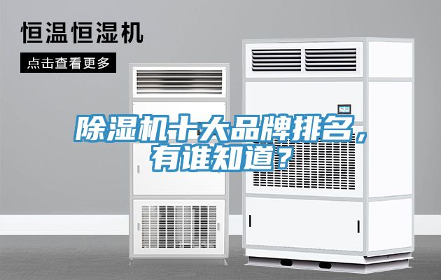 除濕機十大品牌排名，有誰知道？