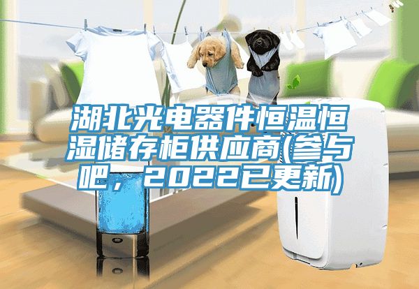 湖北光電器件恒溫恒濕儲存柜供應(yīng)商(參與吧，2022已更新)