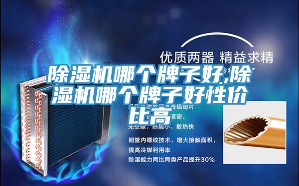 除濕機(jī)哪個(gè)牌子好,除濕機(jī)哪個(gè)牌子好性?xún)r(jià)比高