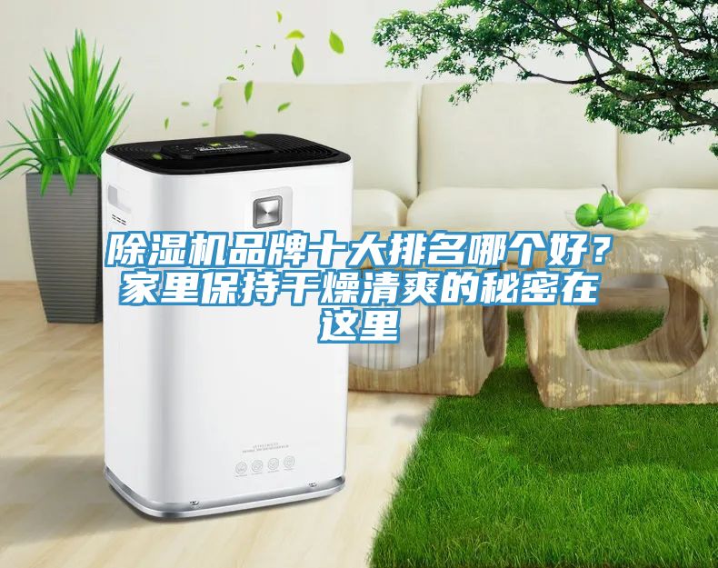 除濕機品牌十大排名哪個好？家里保持干燥清爽的秘密在這里