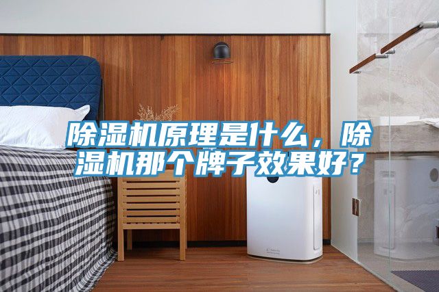 除濕機原理是什么，除濕機那個牌子效果好？