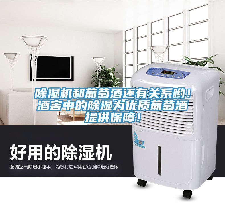 除濕機和葡萄酒還有關(guān)系喲！酒窖中的除濕為優(yōu)質(zhì)葡萄酒提供保障！