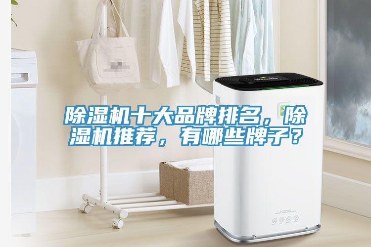 除濕機十大品牌排名，除濕機推薦，有哪些牌子？