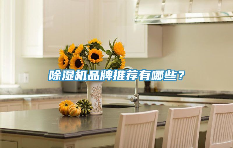 除濕機品牌推薦有哪些？