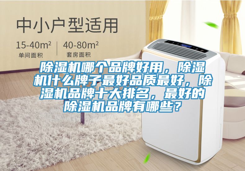 除濕機(jī)哪個(gè)品牌好用，除濕機(jī)什么牌子最好品質(zhì)最好，除濕機(jī)品牌十大排名，最好的除濕機(jī)品牌有哪些？