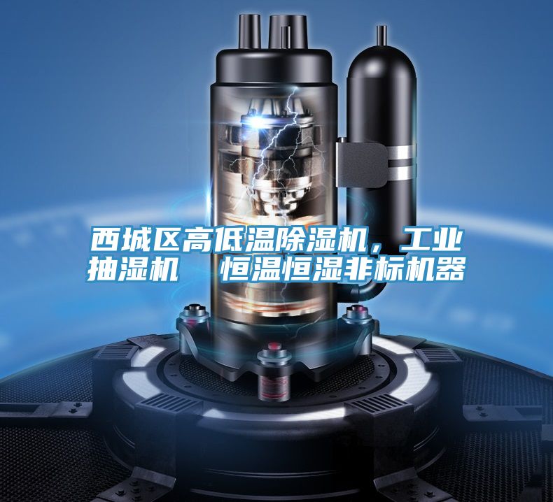 西城區(qū)高低溫除濕機(jī)，工業(yè)抽濕機(jī)  恒溫恒濕非標(biāo)機(jī)器