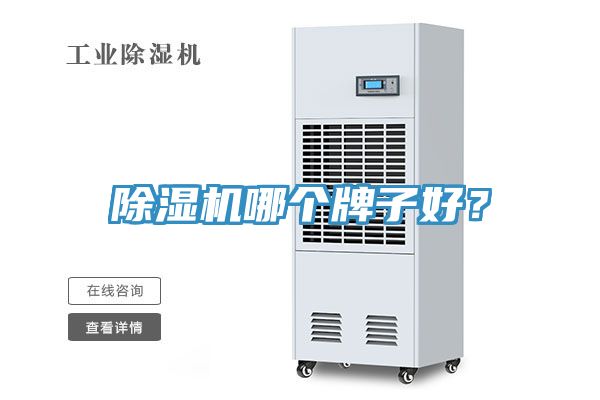 除濕機哪個牌子好？