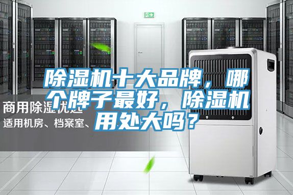 除濕機十大品牌，哪個牌子最好，除濕機用處大嗎？