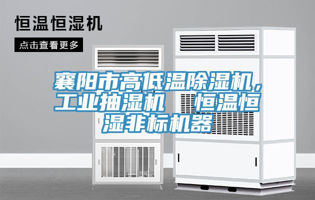 襄陽市高低溫除濕機(jī)，工業(yè)抽濕機(jī)  恒溫恒濕非標(biāo)機(jī)器