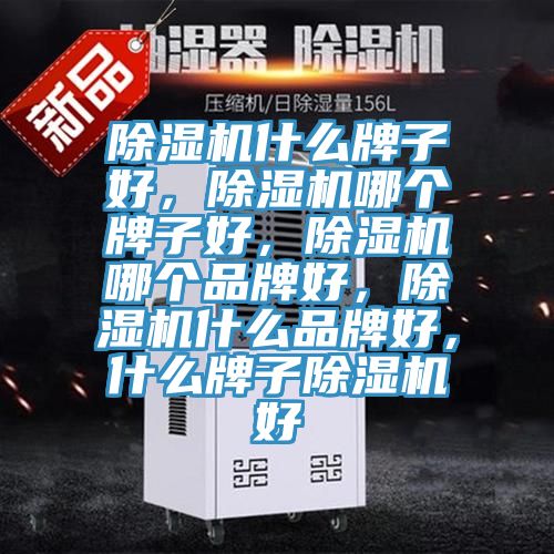 除濕機(jī)什么牌子好，除濕機(jī)哪個牌子好，除濕機(jī)哪個品牌好，除濕機(jī)什么品牌好，什么牌子除濕機(jī)好
