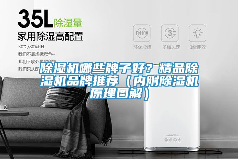 除濕機哪些牌子好？精品除濕機品牌推薦（內(nèi)附除濕機原理圖解）