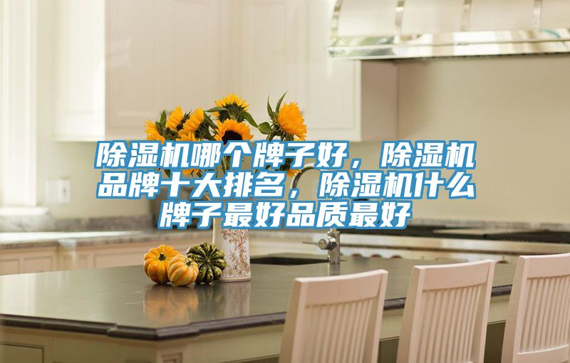 除濕機哪個牌子好，除濕機品牌十大排名，除濕機什么牌子最好品質(zhì)最好
