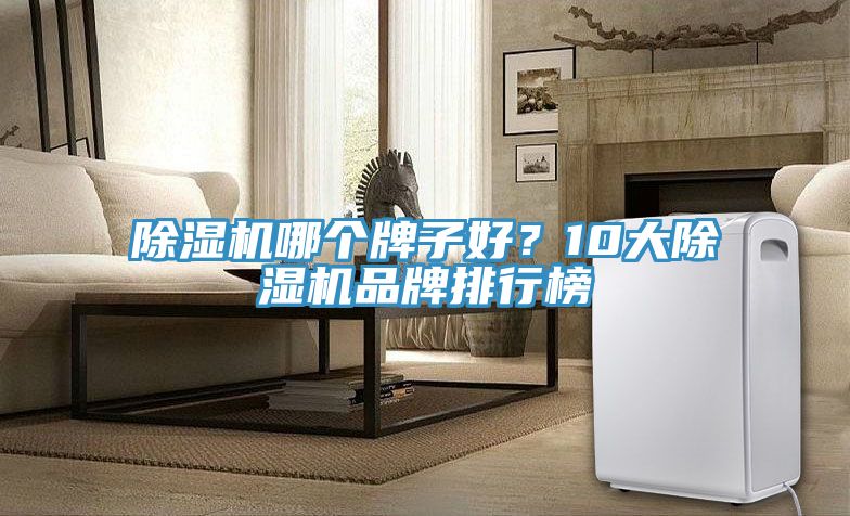 除濕機哪個牌子好？10大除濕機品牌排行榜