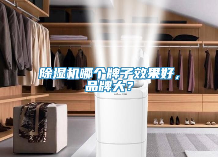 除濕機哪個牌子效果好，品牌大？