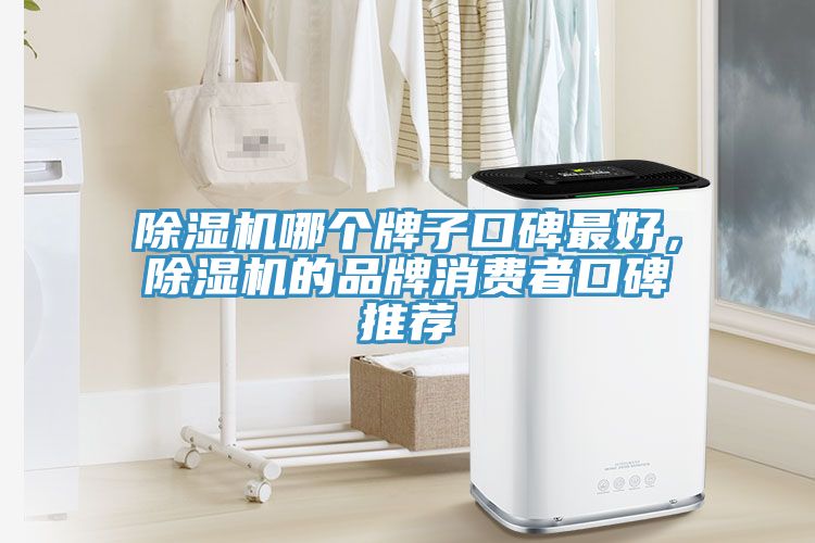 除濕機(jī)哪個(gè)牌子口碑最好，除濕機(jī)的品牌消費(fèi)者口碑推薦