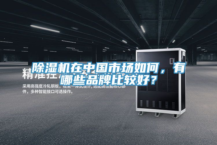 除濕機在中國市場如何，有哪些品牌比較好？
