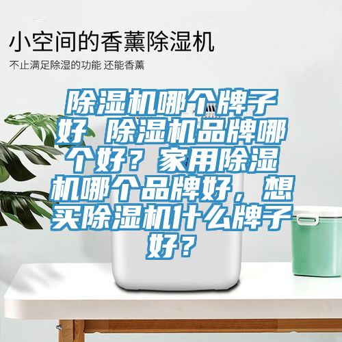 除濕機(jī)哪個(gè)牌子好 除濕機(jī)品牌哪個(gè)好？家用除濕機(jī)哪個(gè)品牌好，想買(mǎi)除濕機(jī)什么牌子好？