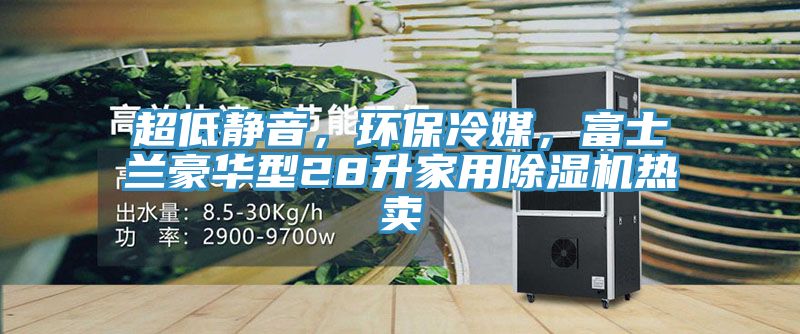 超低靜音，環(huán)保冷媒，富士蘭豪華型28升家用除濕機熱賣