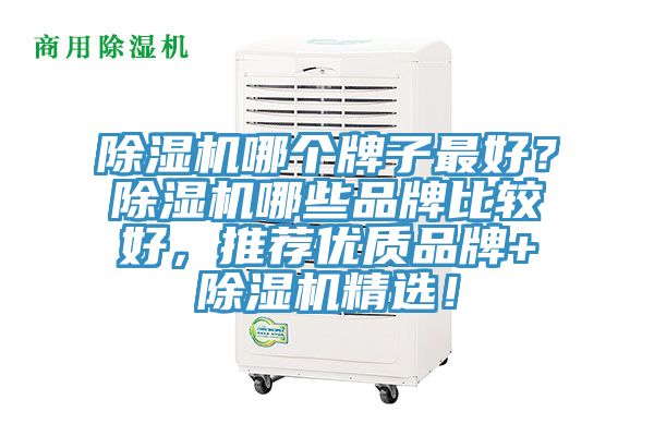 除濕機哪個牌子最好？除濕機哪些品牌比較好，推薦優(yōu)質(zhì)品牌+除濕機精選！