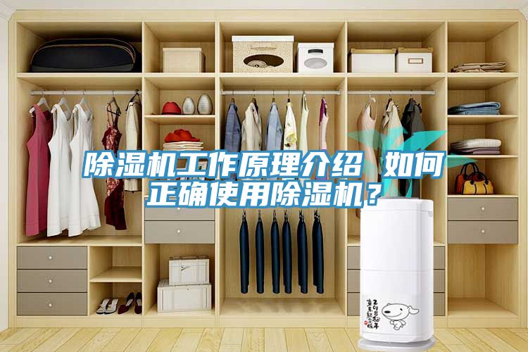 除濕機(jī)工作原理介紹 如何正確使用除濕機(jī)？