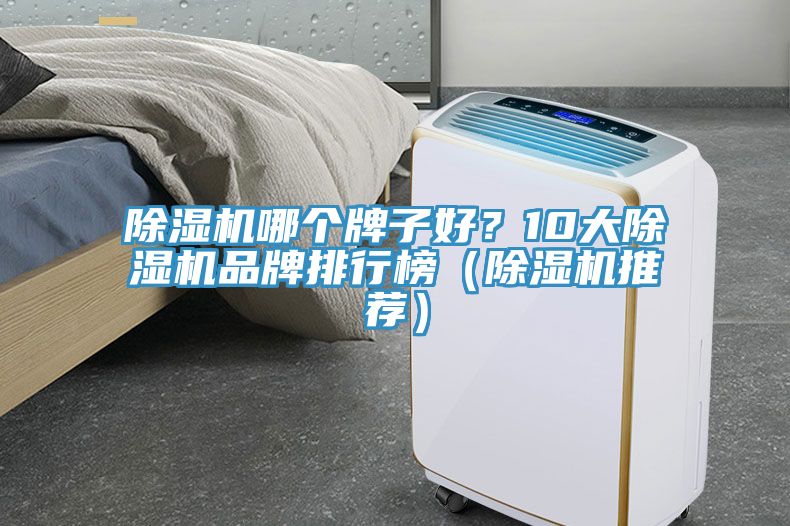 除濕機哪個牌子好？10大除濕機品牌排行榜（除濕機推薦）