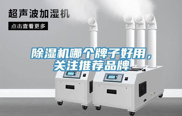 除濕機哪個牌子好用，關(guān)注推薦品牌