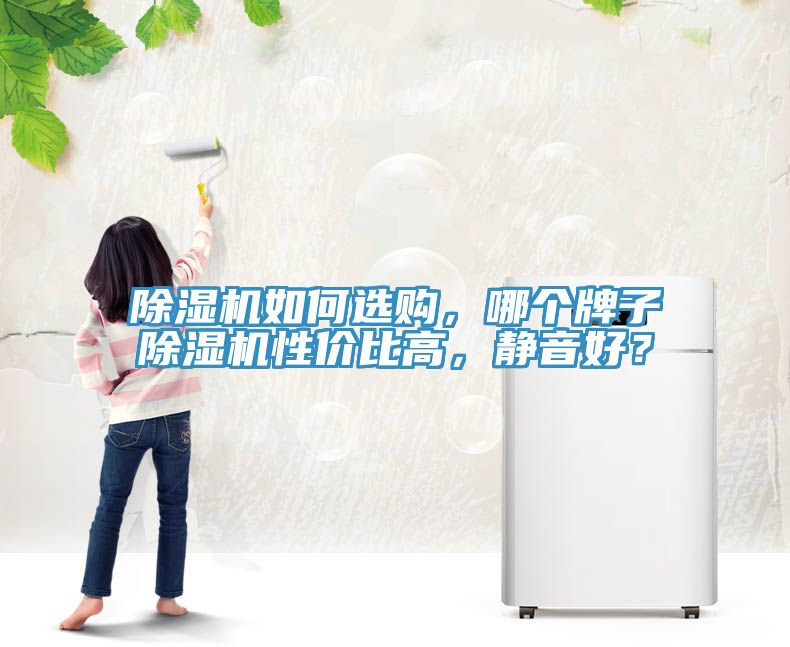 除濕機如何選購，哪個牌子除濕機性價比高，靜音好？